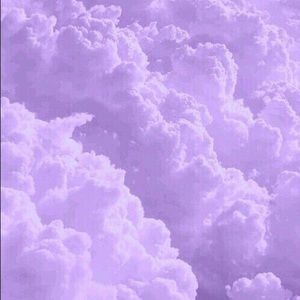 Meet your Posher, Sofi